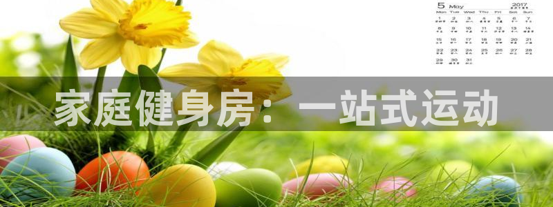 意昂4科技：家庭健身房：一站式运动