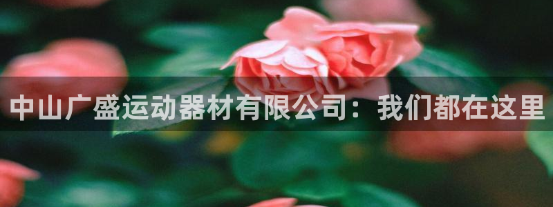 意昂体育4平台假的吗是真的吗吗：中山广盛运动器材有限