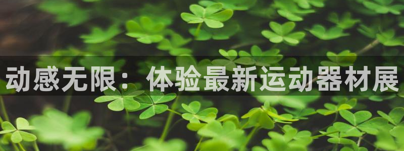 意昂4娱乐是那个系列的台子：动感无限：体验最新运动器