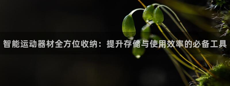 意昂4集团官网网址