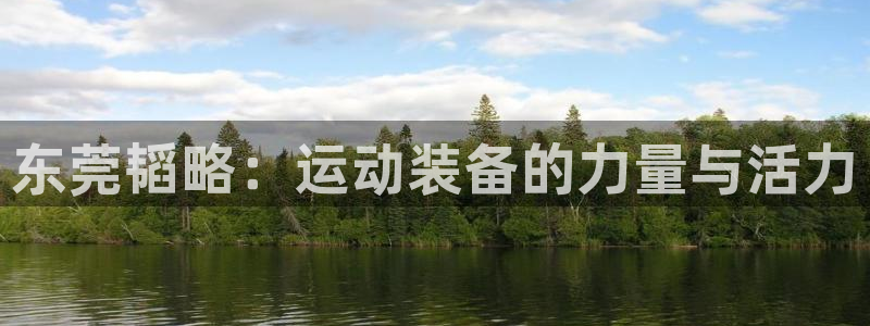 意昂体育4招商电话是多少号码：东莞韬略：运动装备的力量与活力