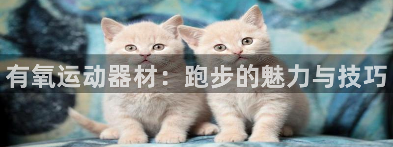意昂体育4招商电话是多少啊：有氧运动器材：跑步的魅力与技巧