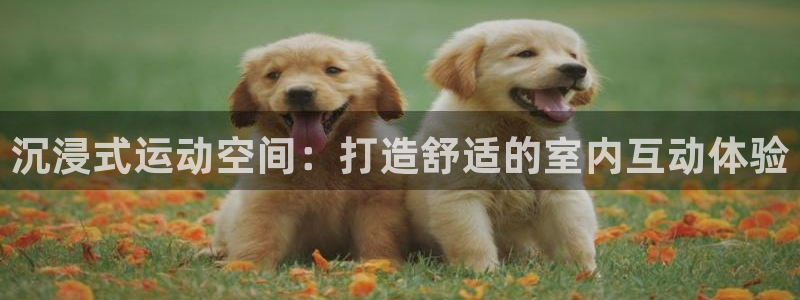 意昂4娱乐网站：沉浸式运动空间：打造舒适的室内互动体