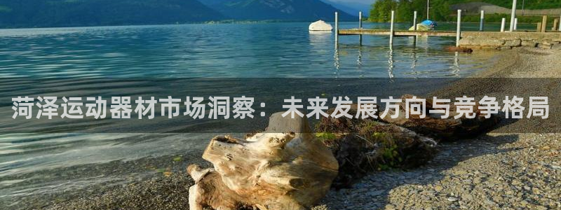 意昂体育4平台：菏泽运动器材市场洞察：未来发展方向与竞争格局