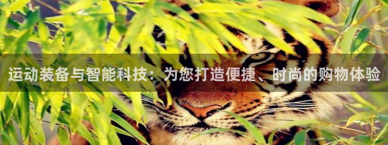 意昂4官方：运动装备与智能科技：为您打造便捷、时尚的