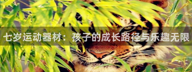 意昂体育4是干嘛的公司：七岁运动器材：孩子的成长路径