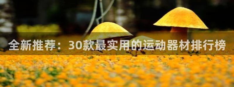 意昂4官网：全新推荐：30款最实用的运动器材排行榜