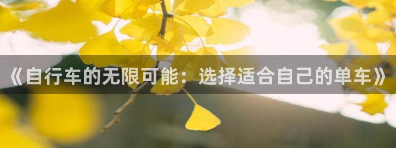 意昂4娱乐网站：《自行车的无限可能：选择适合自己的单