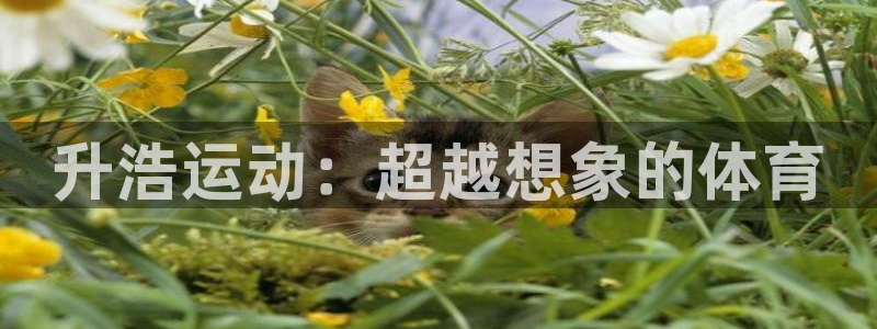 意昂体育4平台假的吗是真的吗吗：升浩运动：超越想象的体育