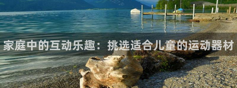 意昂4五金厂：家庭中的互动乐趣：挑选适合儿童的运动器