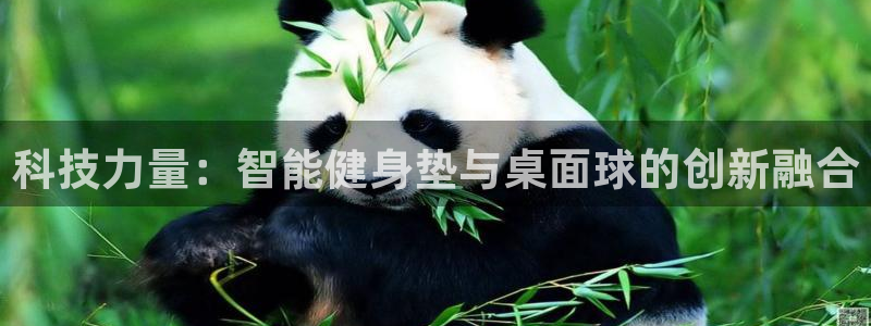 意昂4集团E.ON：科技力量：智能健身垫与桌面球的创