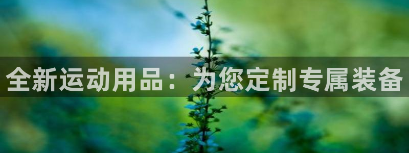 意昂体育4平台是正规平台吗知乎：全新运动用品：为您定