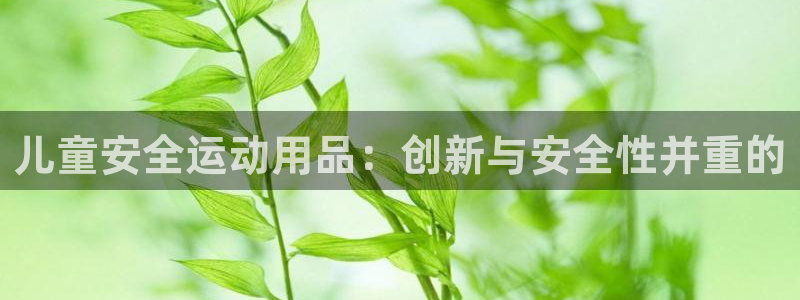 意昂4神州：儿童安全运动用品：创新与安全性并重的