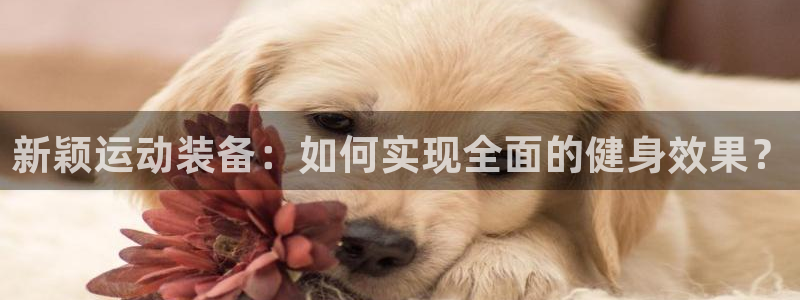 意昂体育4平台是正规平台吗安全吗：新颖运动装备：如何实现全面