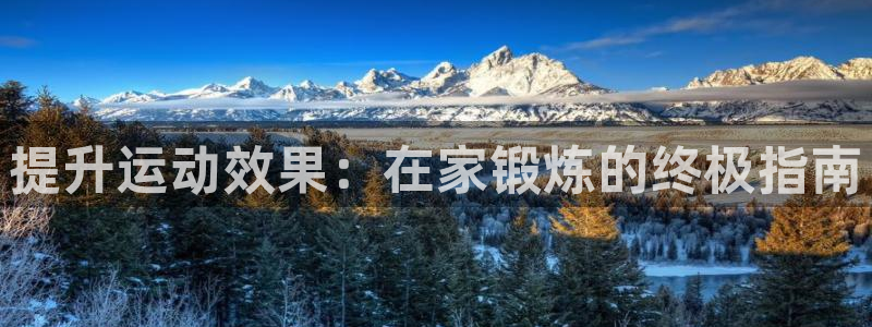 意昂体育4招商电话是多少：提升运动效果：在家锻炼的终极指南
