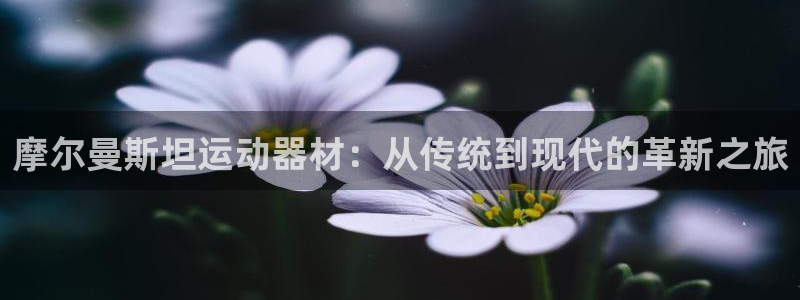 意昂4娱乐首页网站大全：摩尔曼斯坦运动器材：从传统到现代的革