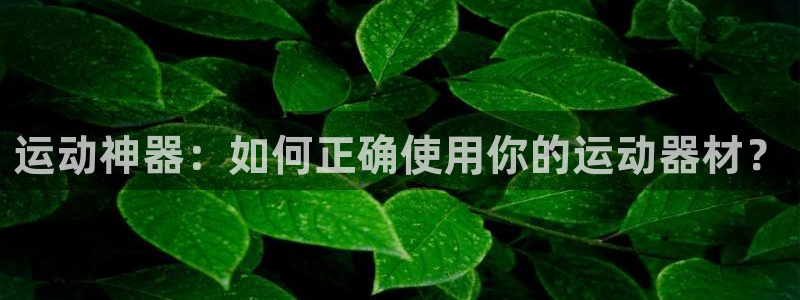意昂集团官网：运动神器：如何正确使用你的运动器材？
