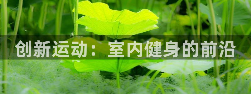 意昂体育4招商