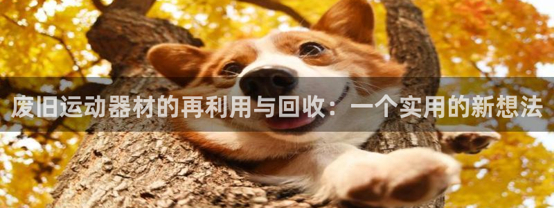 意昂体育4平台注册要钱吗是真的吗：废旧运动器材的再利