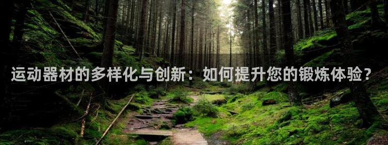 意昂4科技：运动器材的多样化与创新：如何提升您的锻炼