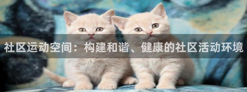 意昂体育4平台是正规平台吗安全吗：社区运动空间：构建