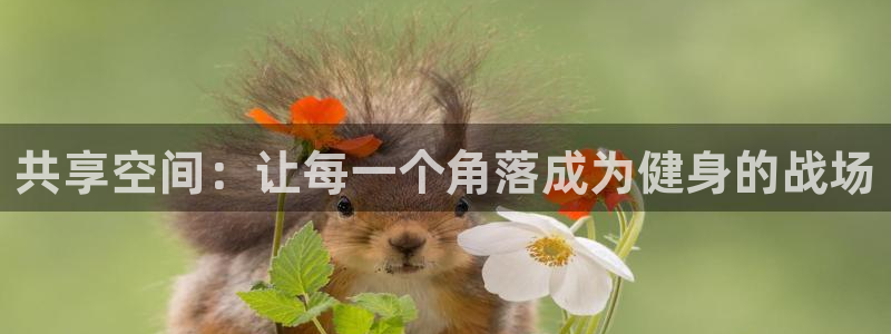 意昂体育4官方客服电话：共享空间：让每一个角落成为健身的战场