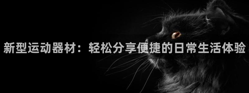 意昂4集团：新型运动器材：轻松分享便捷的日常生活体验