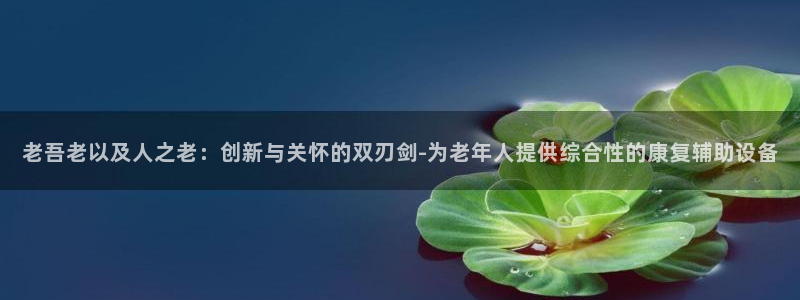 意昂体育4平台是正规平台吗知乎:老吾老以及人之老:创新与关怀