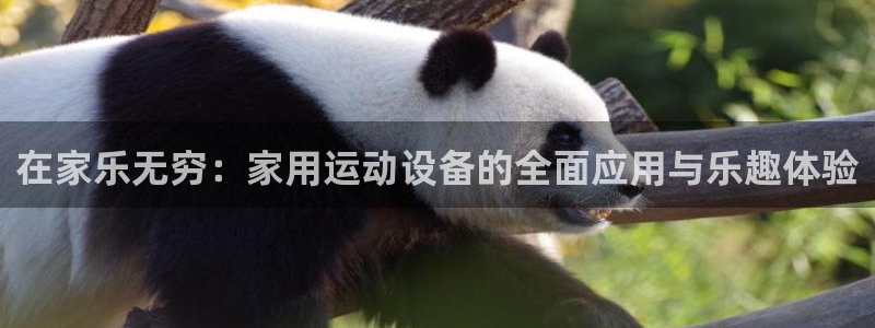 意昂体育4平台注册要钱吗安全吗：在家乐无穷：家用运动设备的全