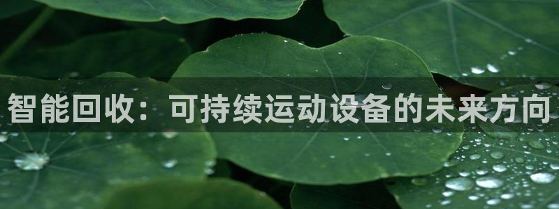 意昂4娱乐平台：智能回收：可持续运动设备的未来方向