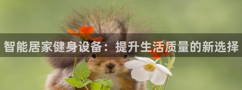 意昂4神州：智能居家健身设备：提升生活质量的新选择