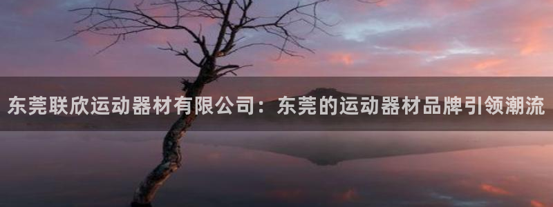 意昂4官方：东莞联欣运动器材有限公司：东莞的运动器材