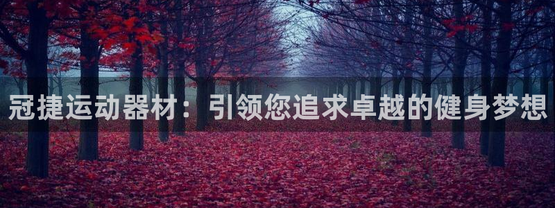 意昂体育4平台是正规平台吗安全吗