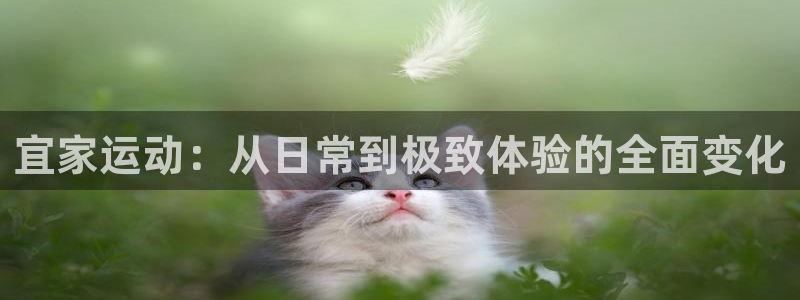 意昂体育4招商电话号码查询：宜家运动：从日常到极致体验的全面