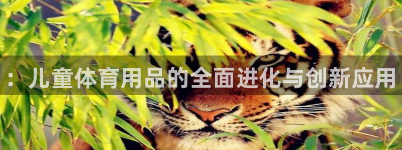 意昂集团官网::儿童体育用品的全面进化与创新应用