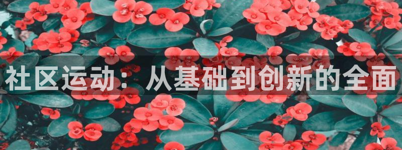 意昂4娱乐40996：社区运动：从基础到创新的全面