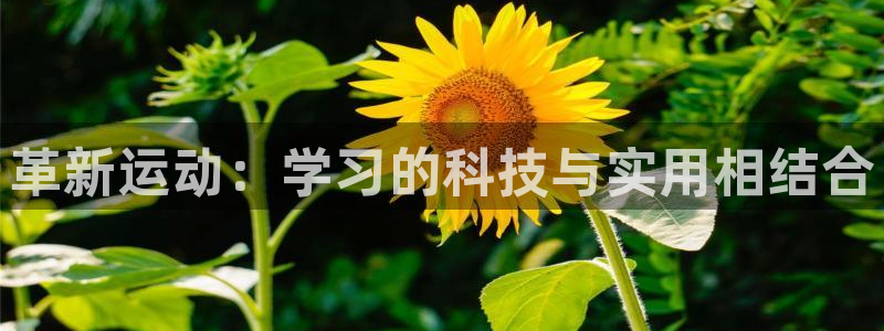 意昂体育4平台是正规平台吗安全吗