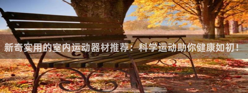 意昂体育4平台是正规平台吗安全吗：新奇实用的室内运动