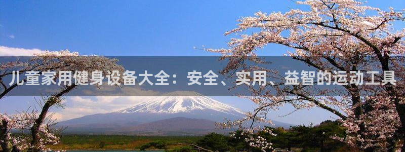 意昂4娱乐：儿童家用健身设备大全：安全、实用、益智的运动工具
