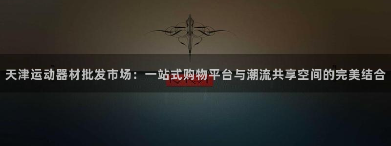 意昂集团官网：天津运动器材批发市场：一站式购物平台与