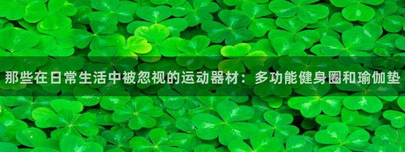 意昂4五金厂：那些在日常生活中被忽视的运动器材：多功