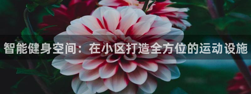 意昂4集团官网网址