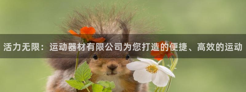 意昂体育4招商电话是多少啊：活力无限：运动器材有限公