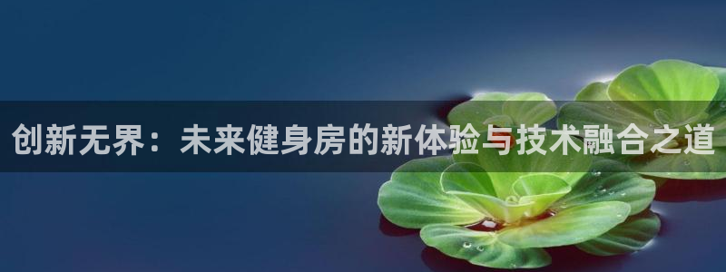 意昂体育4平台是正规平台吗知乎：创新无界：未来健身房的新体验