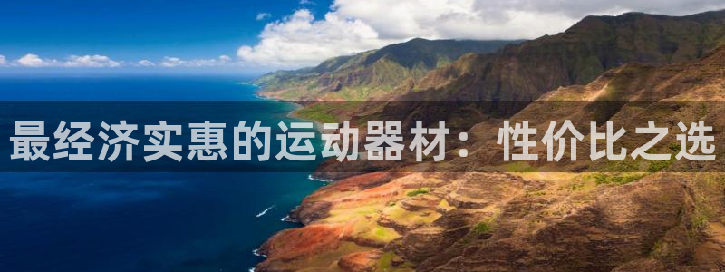 意昂体育4平台APP：最经济实惠的运动器材：性价比之选