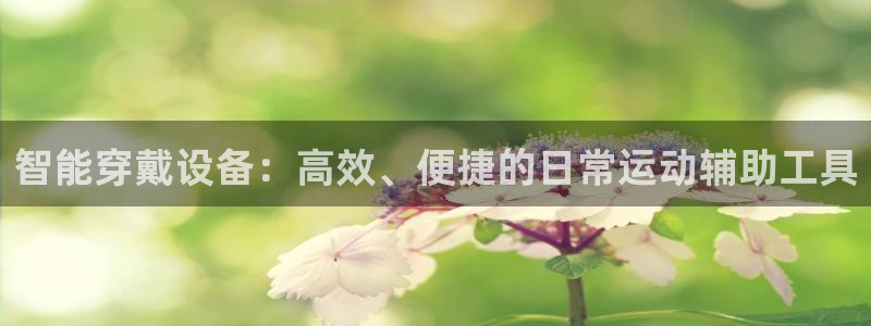 意昂体育4软件：智能穿戴设备：高效、便捷的日常运动辅