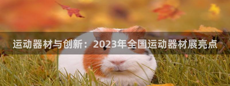 意昂体育4平台注册：运动器材与创新：2023年全国运动器材展