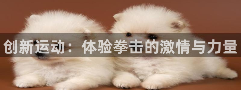 意昂体育4平台注册流程视频：创新运动：体验拳击的激情与力量