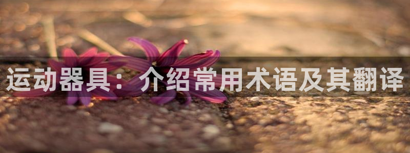 注册意昂4：运动器具：介绍常用术语及其翻译