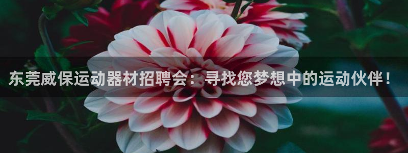 意昂体育4平台:东莞威保运动器材招聘会:寻找您梦想中的运动伙